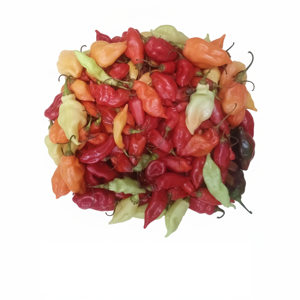 Piment végétarien