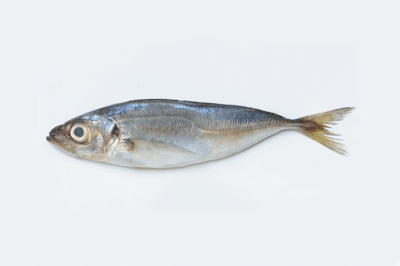 CHINCHARD FRAIS DETAIL /kg